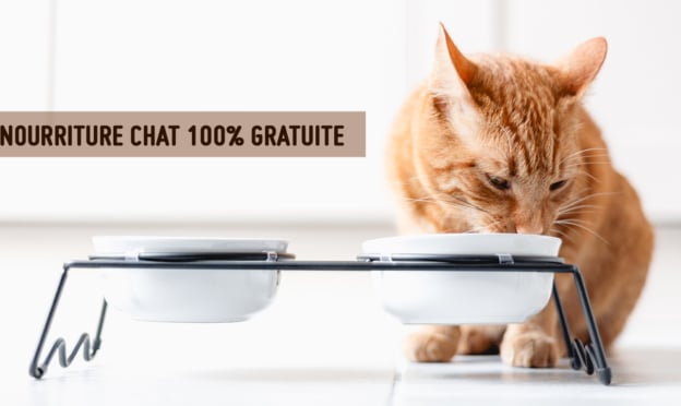 Nourriture Whiskas pour chats gratuite : Un simple formulaire à remplir pour recevoir un sachet