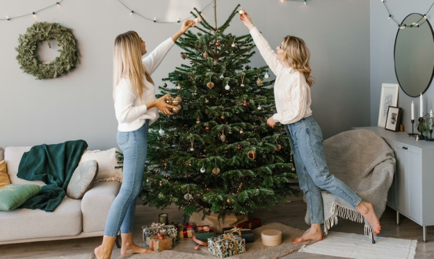 Brico Dépôt : Grands Sapins de Noël à petits prix (ex : 180-210cm à 23€)