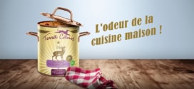 Test Terra Canis : 1’000 coffrets d’aliments pour chiens gratuits