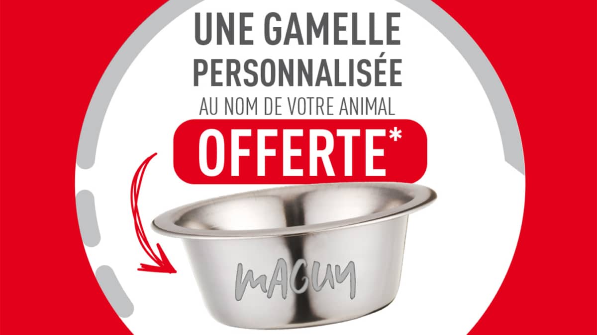 Cadeau Royal Canin (avec achat) : Gamelle personnalisées offerte