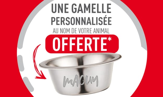 Cadeau Royal Canin (avec achat) : Gamelle personnalisées offerte