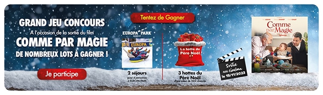 Tentez de gagner un séjour à Europa Park avec Gitem