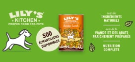 Échantillons gratuits de Lily’s Kitchen Sunday Lunch pour chiens