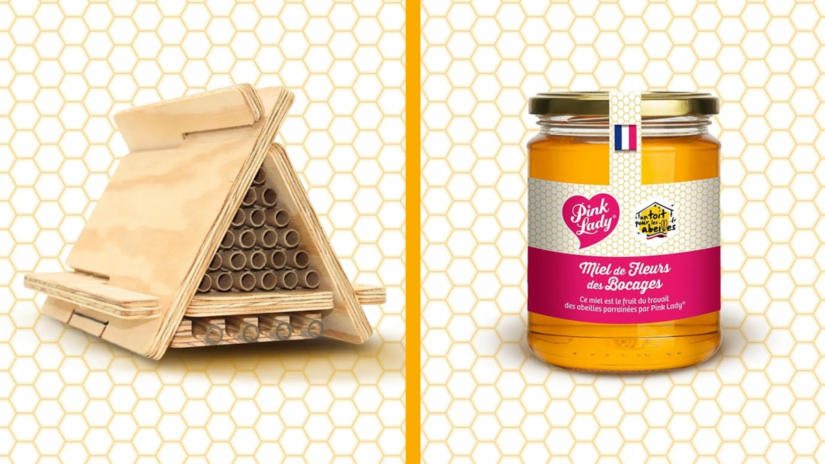 Jeu Pink Lady Bee Pink : 500 pots de miel, dortoirs à abeilles…