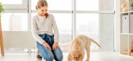 Royal Canin : Coffret chiot gratuit sur simple demande