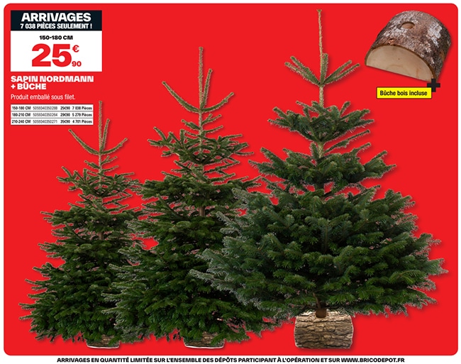 Arrivage de grands sapins Nordmann pas chers chez Brico Dépôt