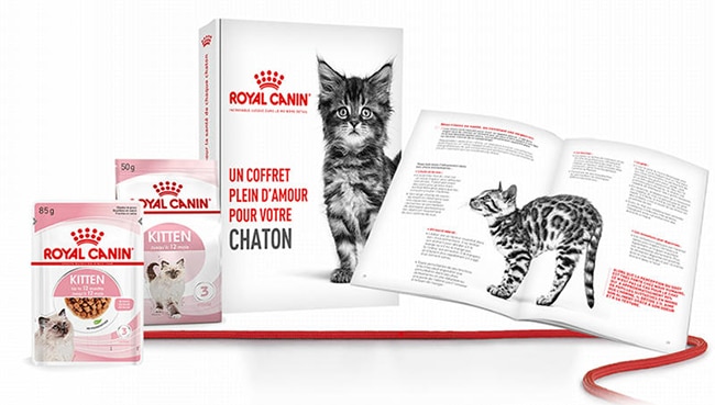 Le contenu du kit chaton Royal Canin gratuit