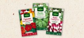 Échantillons gratuits de graines Vilmorin : Recevez un sachet offert