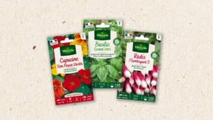 Échantillons gratuits de graines Vilmorin : Recevez un sachet offert