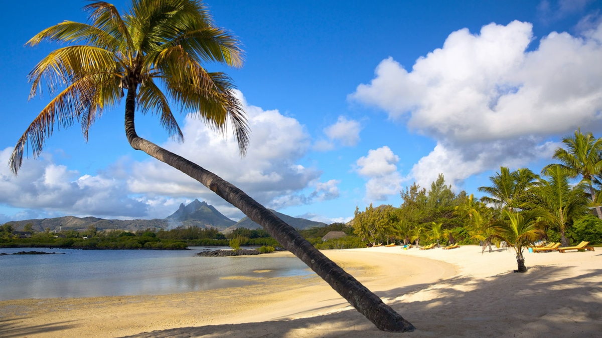 Jeu Lilo & Stitch / Carrefour Voyages : Séjour à l’île Maurice à gagner