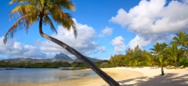 Jeu Lilo & Stitch / Carrefour Voyages : Séjour à l’île Maurice à gagner