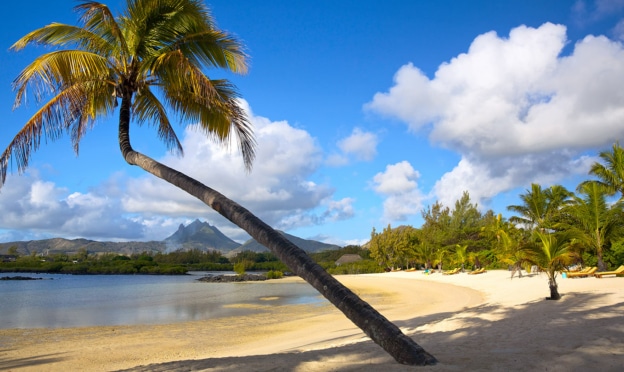 Jeu Lilo & Stitch / Carrefour Voyages : Séjour à l’île Maurice à gagner