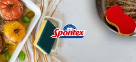Test Spontex : 400 lots de 7 éponges à recevoir gratuitement