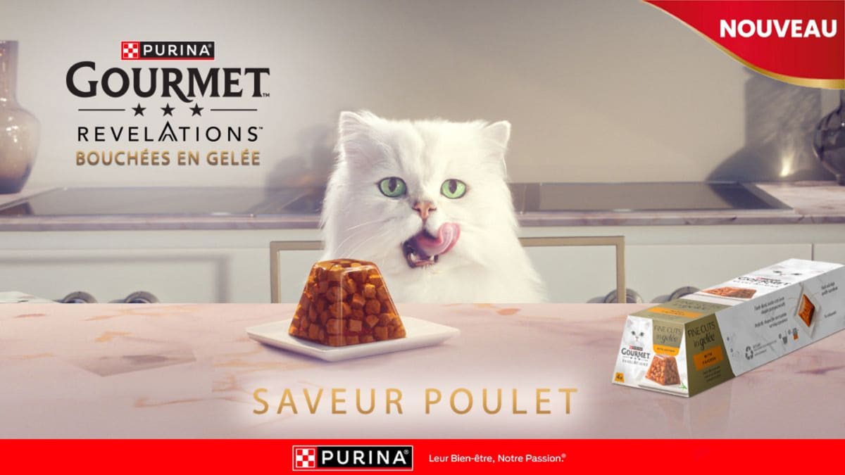 Échantillons gratuits de Bouchées en Gelée pour chats Purina