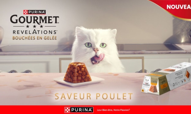 Échantillons gratuits de Bouchées en Gelée pour chats Purina