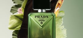 Échantillons gratuits du parfum Prada Paradigme