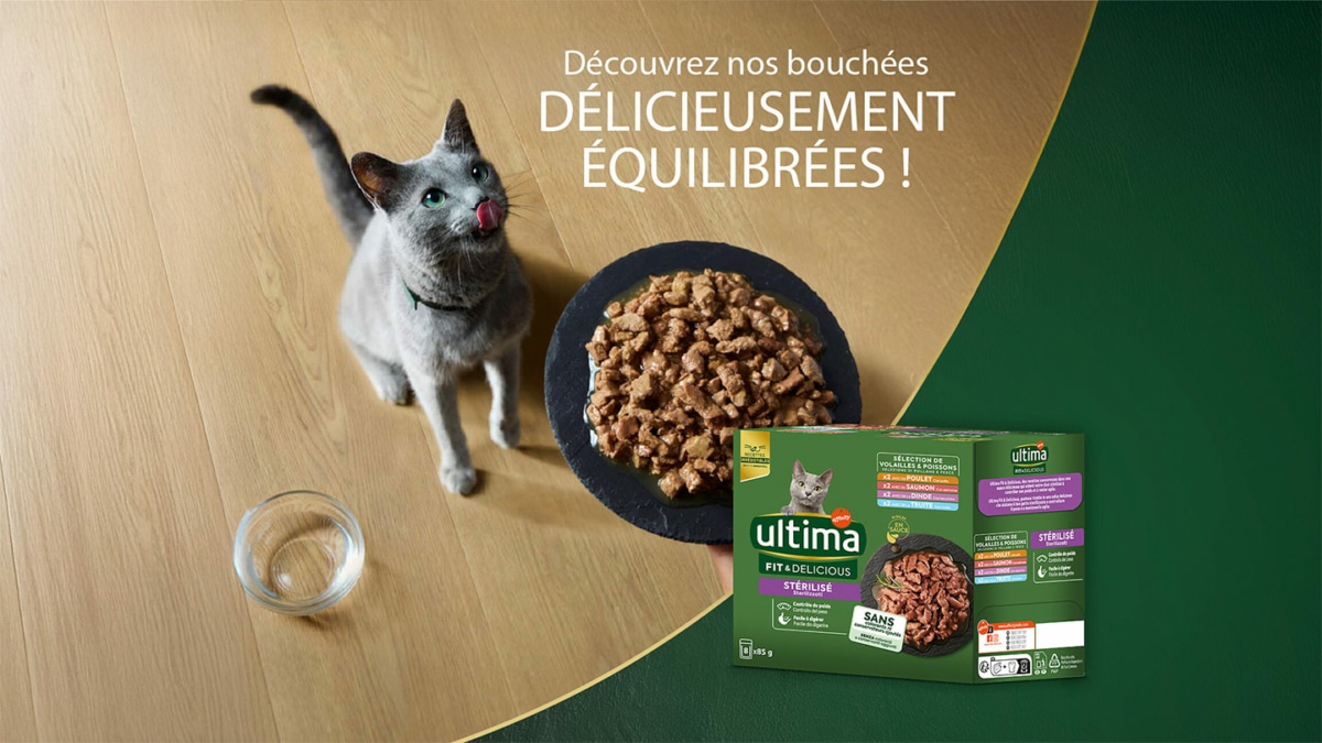 Test Ultima : 6’000 packs Fit & Delicious gratuits pour chats stérilisés