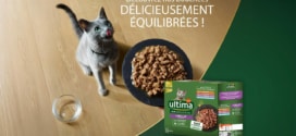 Test Ultima : 6’000 packs Fit & Delicious gratuits pour chats stérilisés
