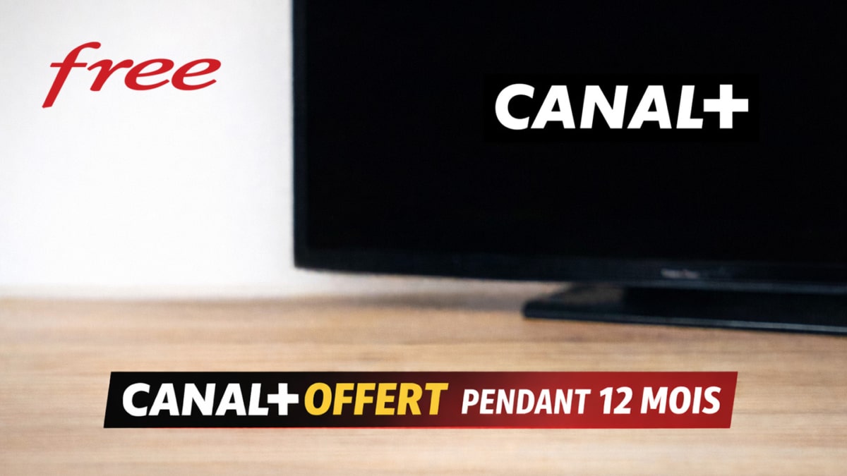 Canal+ gratuit chez Free : bon plan testé et validé, êtes-vous concerné ?