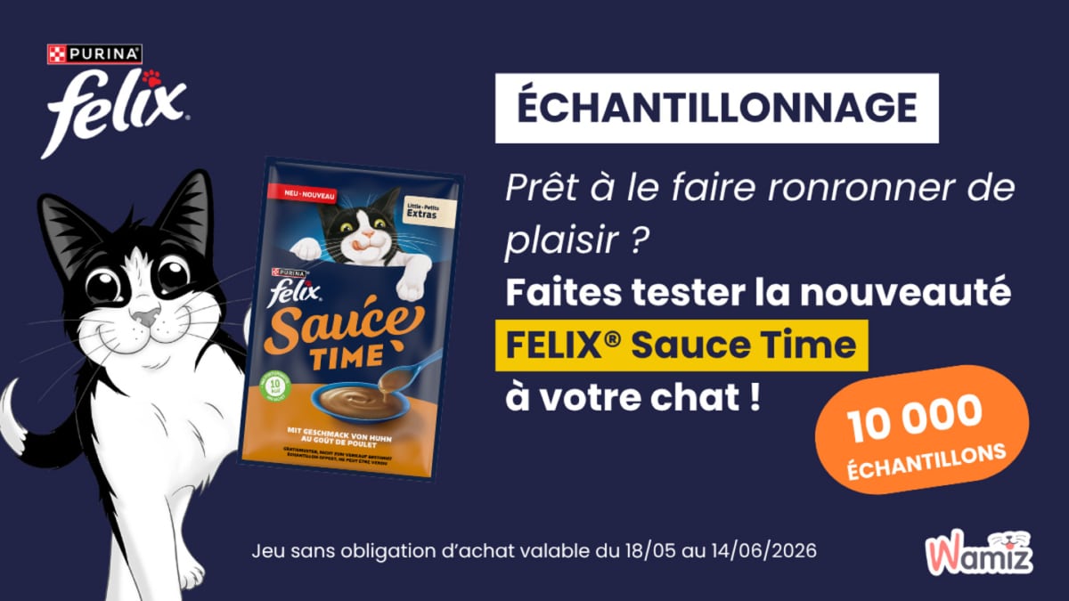 FELIX Sauce Time : 10&rsquo;000 échantillons gratuits pour chats