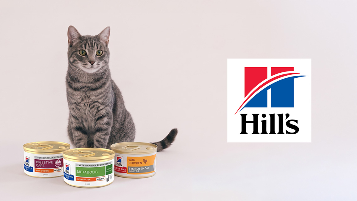 Test de mousses Hill’s pour chats : 300 packs gratuits de 12 boîtes