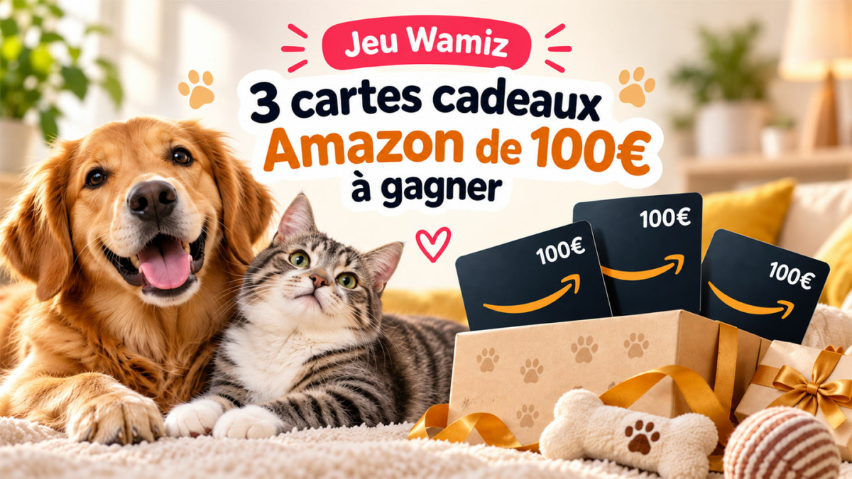 Jeu Wamiz : 3 cartes cadeaux Amazon de 100€ à gagner