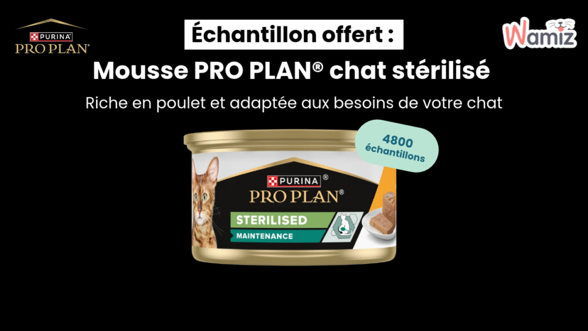 Échantillons gratuits de mousse pour chats PURINA PRO PLAN